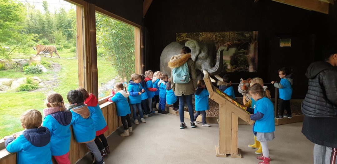Visite du zoo pour les maternelles